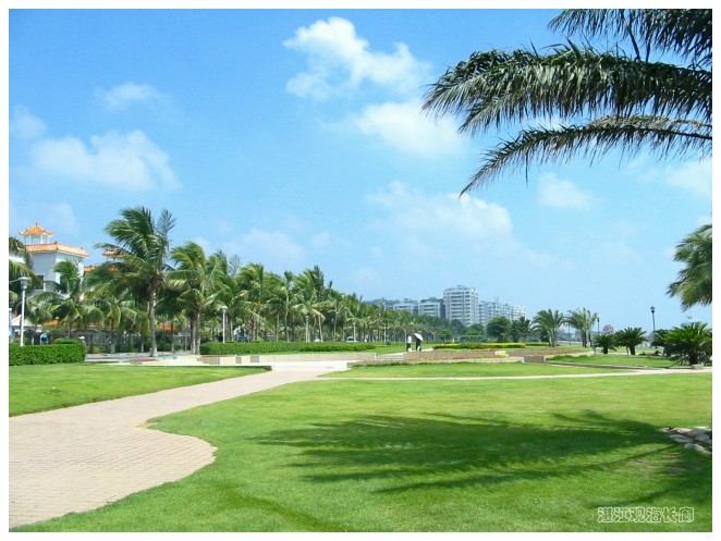 �ۺ�����