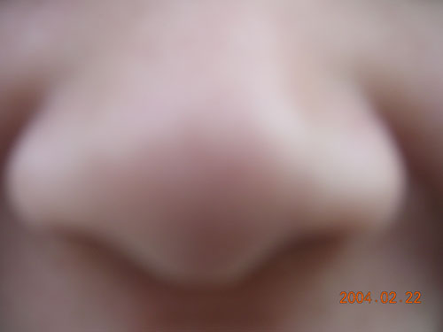 ��˭��nose��?
