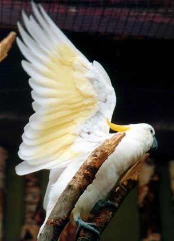 �����Ҵ������ܷ��µ���ᣬ�Ҳ��ܷ��£�����