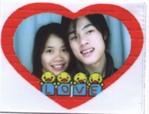 小柏树像什么-长长的柳枝像什么,绿油油的小柏